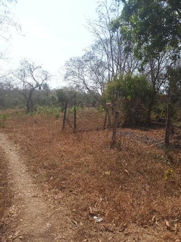 Sitio beira do rio cuiaba em Acorizal-MT - Foto 12