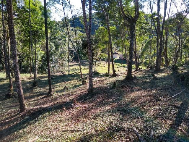 Excelente fazenda em Antonina 40 Alqueires - Foto 14