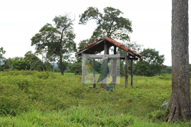 Chácara à venda, 127340 m² por r$ 249.500 - zona rural - rondonópolis/mato grosso - Foto 2