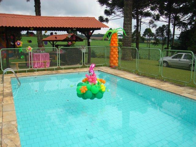 Magnifica chácara em Campo Largo - Paraná - Foto 4