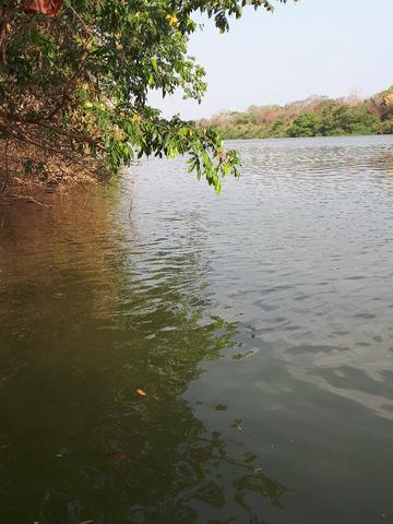 Sitio beira do rio cuiaba em Acorizal-MT - Foto 8