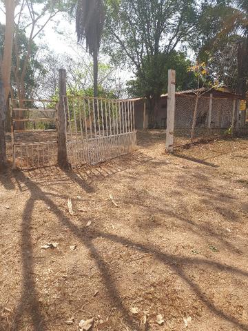 Sitio beira do rio cuiaba em Acorizal-MT - Foto 5