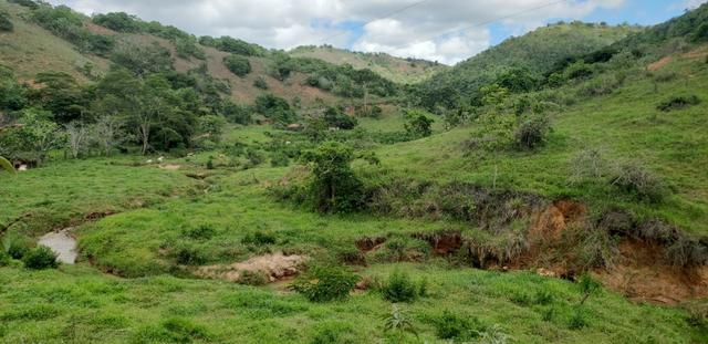 Fazenda 295 hectares próximo de Governador ValadaresMG - Foto 2