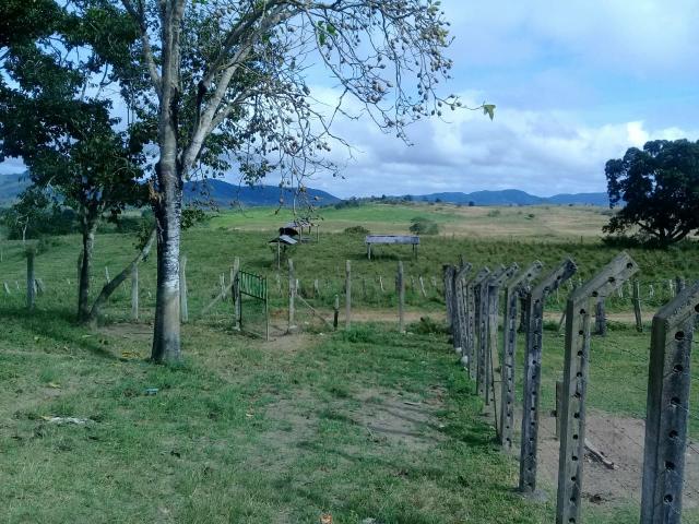 Fazenda Floresta Azul - Foto 3