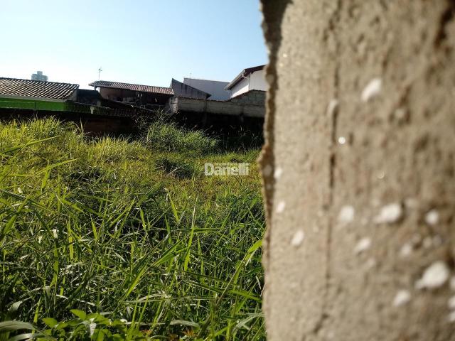 Lote para aluguel, , padre cursino - taubaté/sp - Foto 2