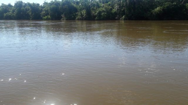 29,00 Hectares, Beira Rio Sepotuba, um Sonho-Tangará, Ligue Agora!!! - Foto 5