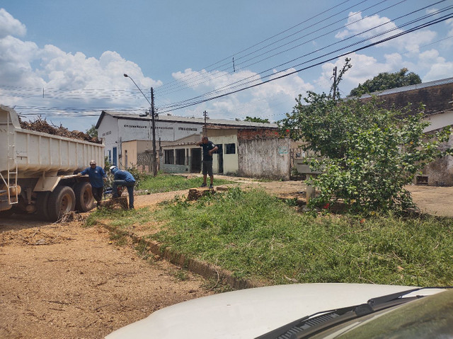 Poda, corte de árvores limpeza de terrenos - Foto 6