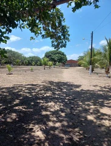 Vendo um sítio localizado em paraipaba  - Foto 3