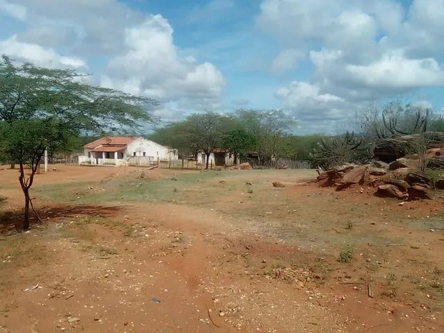 Vendo fazenda 70hectares Sertania