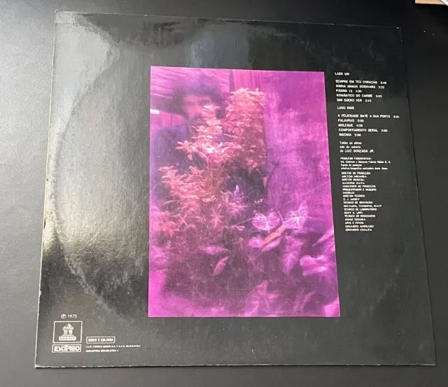 Lp Gonzaguinha (Luiz Gonzaga Jr - 1973) - Foto 2