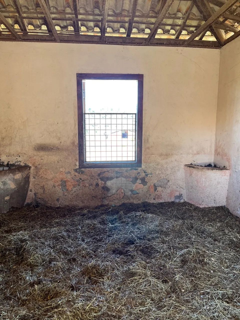 Baias Para Cavalos - Foto 5