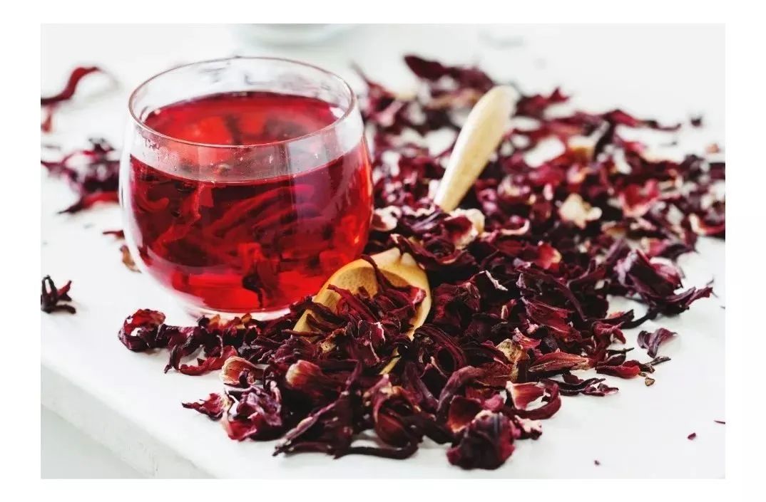 Mudas de Hibisco Roxo - Foto 2