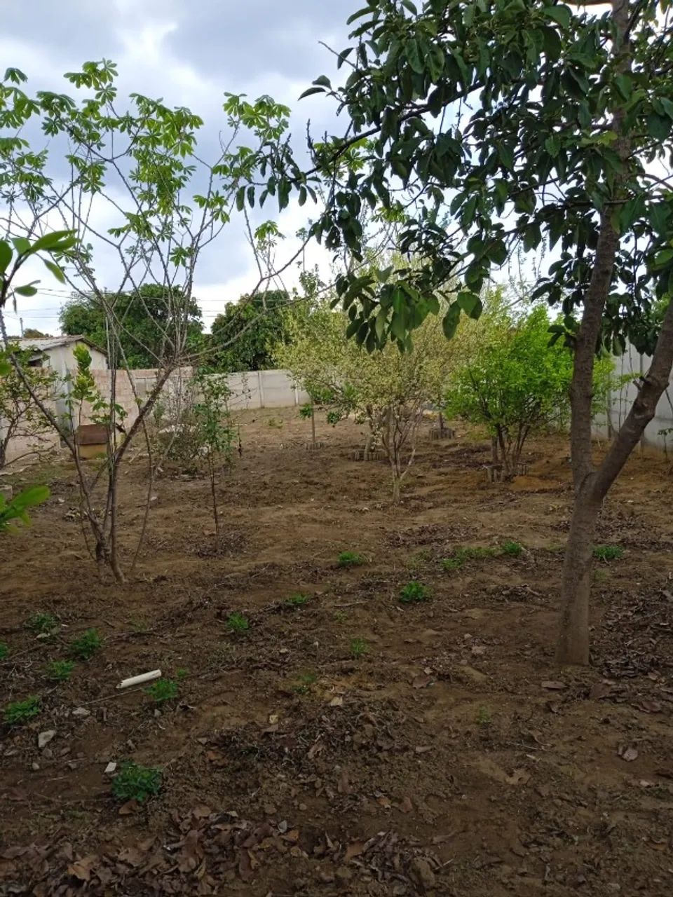 Vendo lote no município de Três Marias - Foto 3