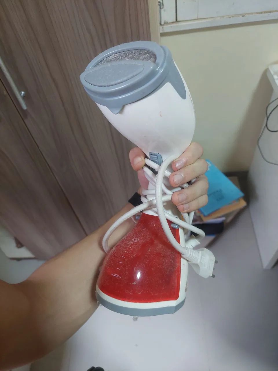 Vaporizador de Roupas Portátil