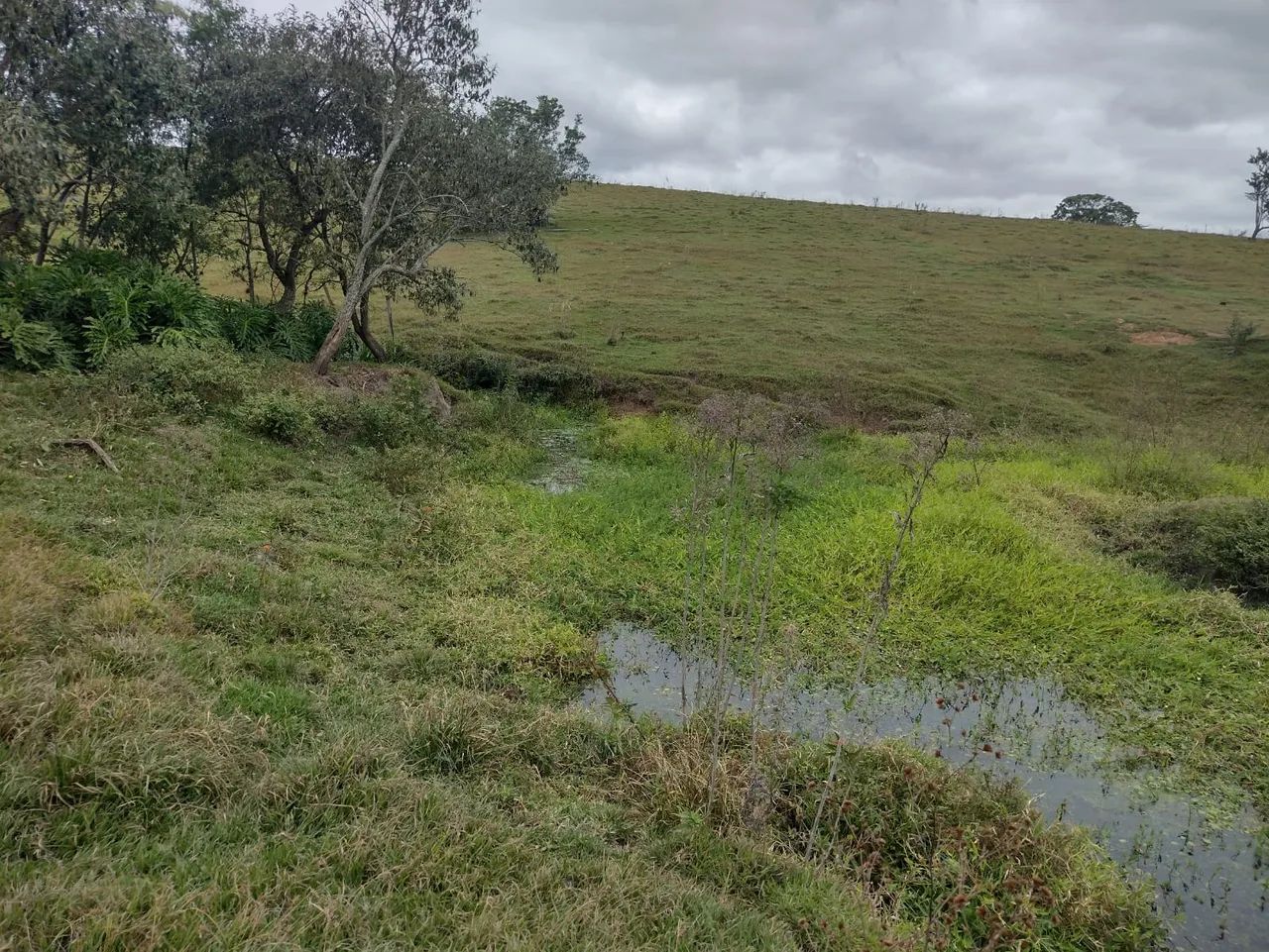 Fazenda/Sítio/Chácara para venda tem 122000 metros quadrados em Rural - Torre de Pedra - S - Foto 2
