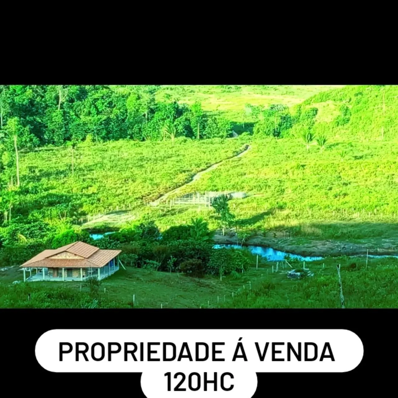 FAZENDA VALE VERDE.