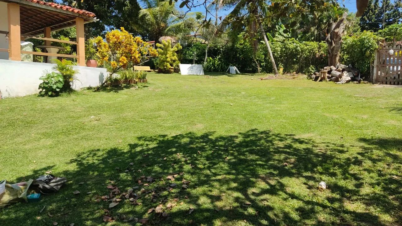 Limpeza de sítios e terrenos - Foto 2