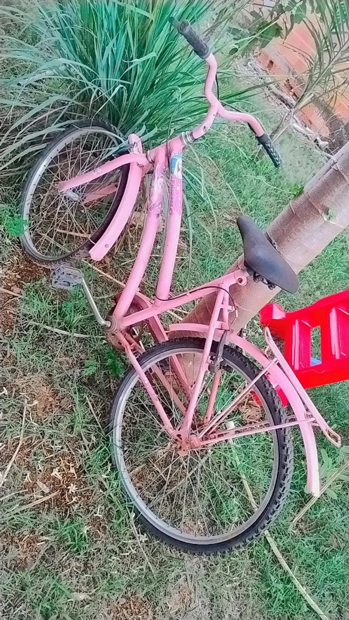 Bicicleta Rosa Infantil