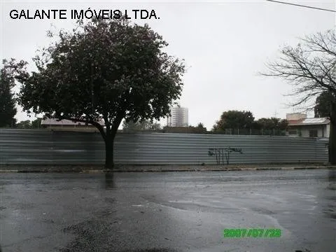 terreno - Jardim das Paineiras - Campinas