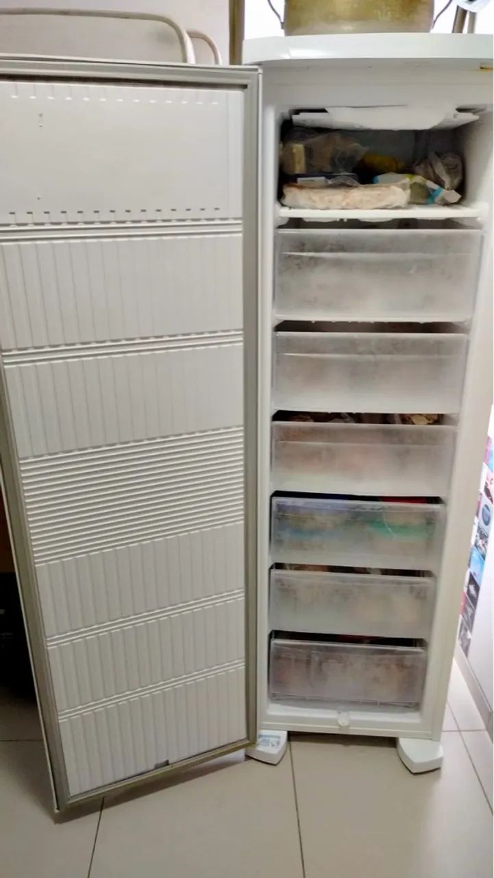 Freezer Electrolux - Eficiência e Design Moderno - Foto 4