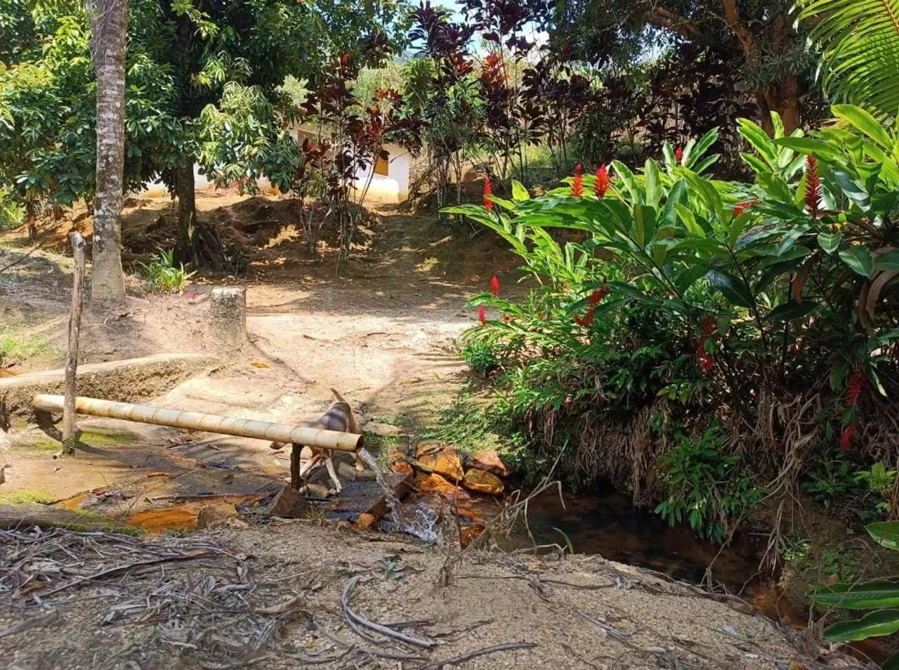 Sítio com bela paisagem - Oportunidade!!