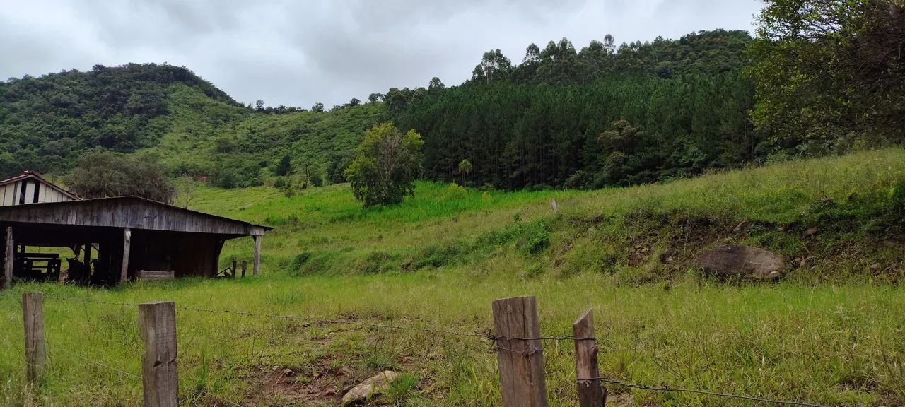 Chácara 20 hectares, valor 320,000,00 potreiro grande cercado  - Foto 5