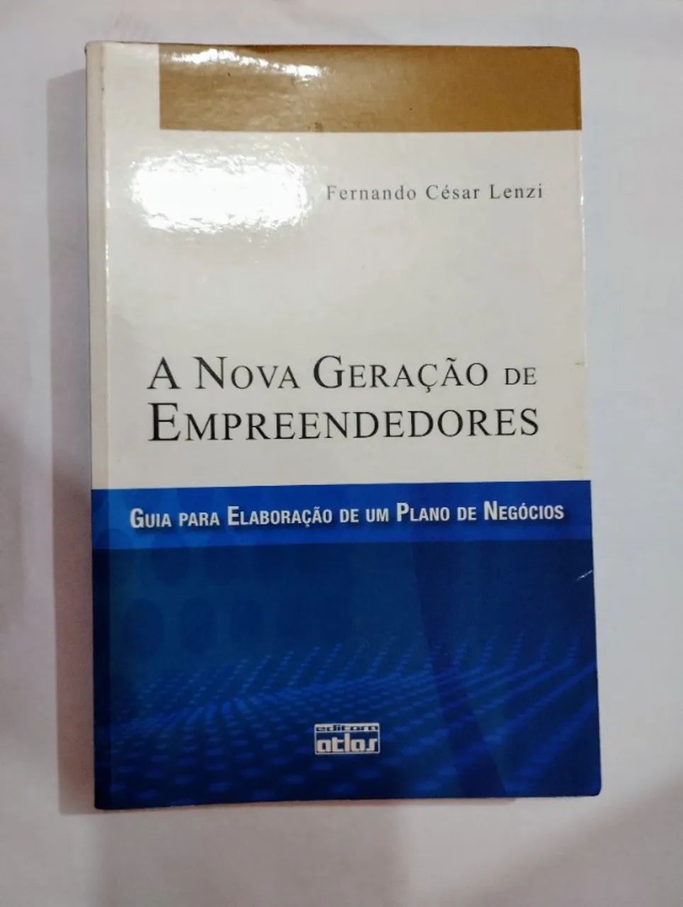 Livro - A Nova Geração de Empreendimentos - Usado 