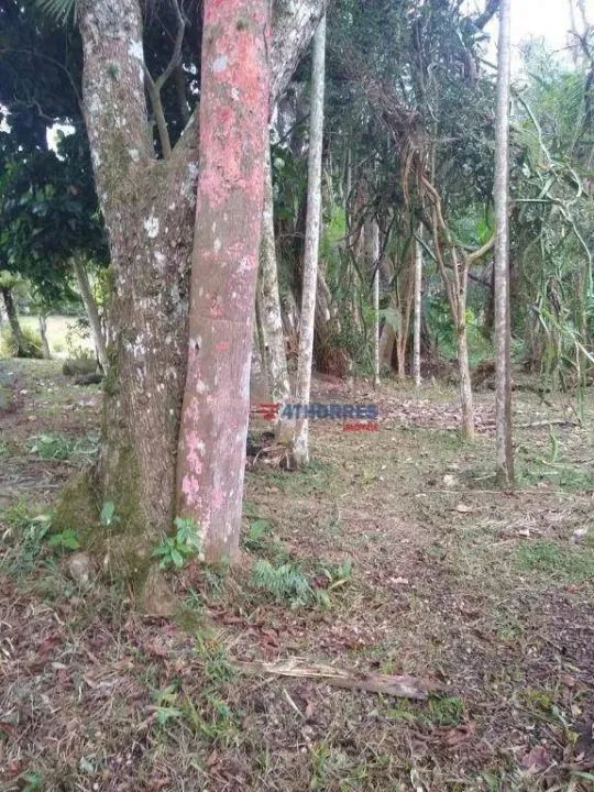 Terreno à venda, 1700 m² por R$ 215.000,00 - Itaquaciara - Itapecerica da Serra/SP - Foto 3