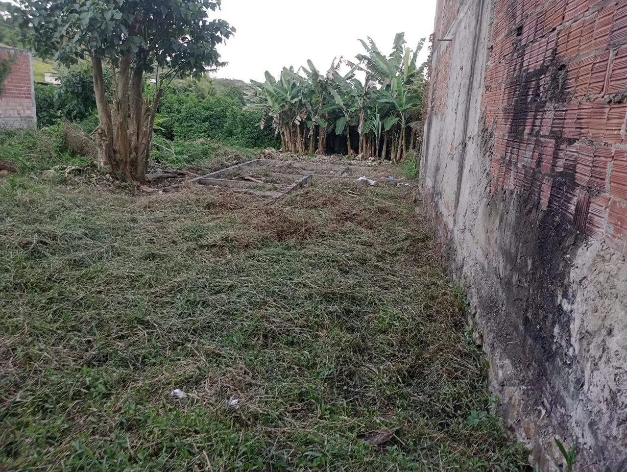 Terreno  - Foto 2