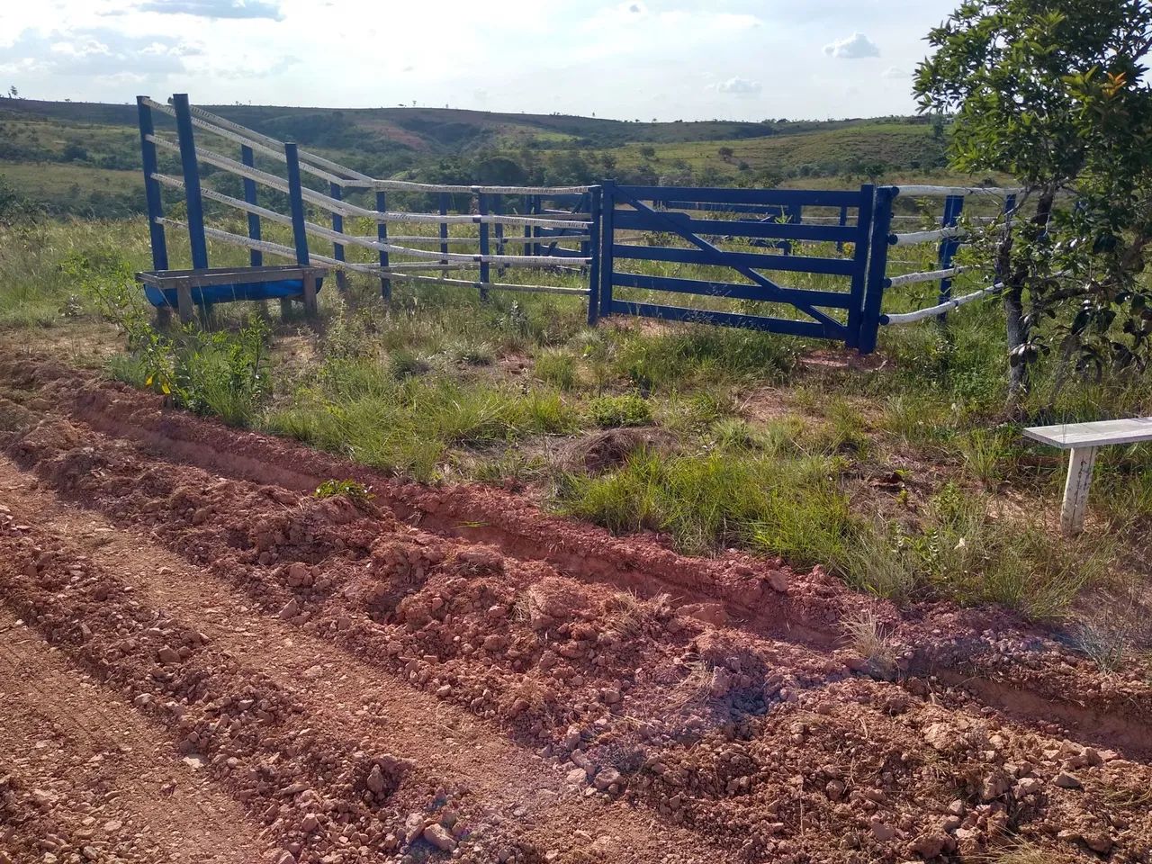 ARRENDO 10HEC PRA GADO OU IRRIGAÇÃO, EM LAGAMAR!! - Foto 9