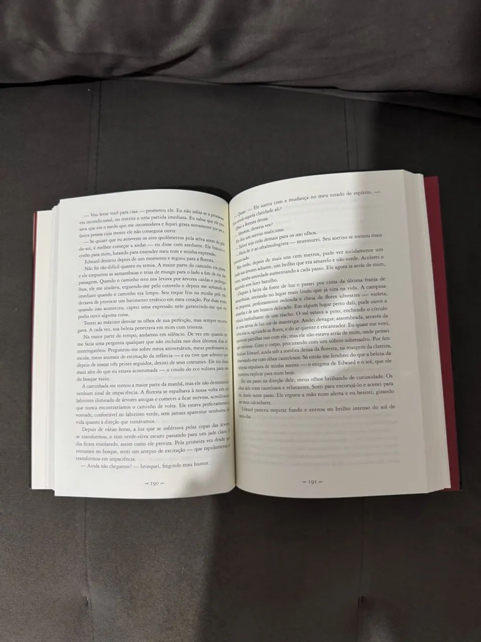 Livro Crepúsculo - Stephenie Meyer - Foto 3