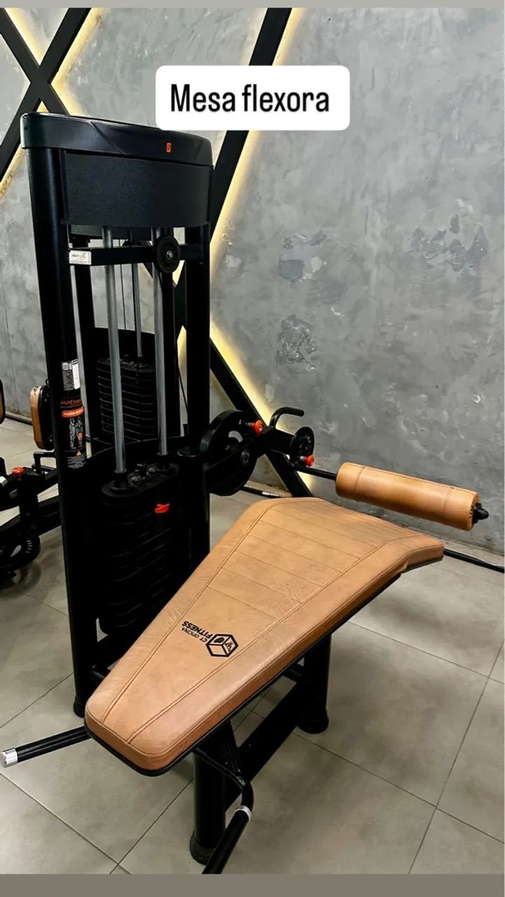 Mesa Flexora63824621597953120