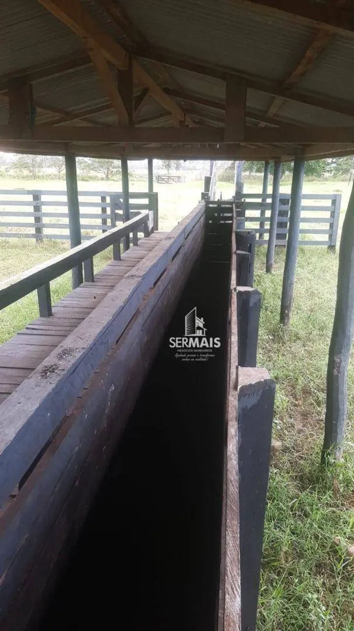 Sítio à venda, 1766600 m² por R$ 7.300.000 - Área rural de São Miguel do Guaporé - São Mig - Foto 5