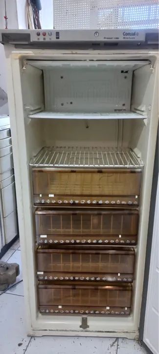 Frezzer 110v  - Foto 2