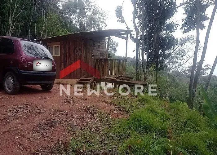Lote em Área Rural - Área Rural de Biguaçu - Biguaçu/SC - Foto 2