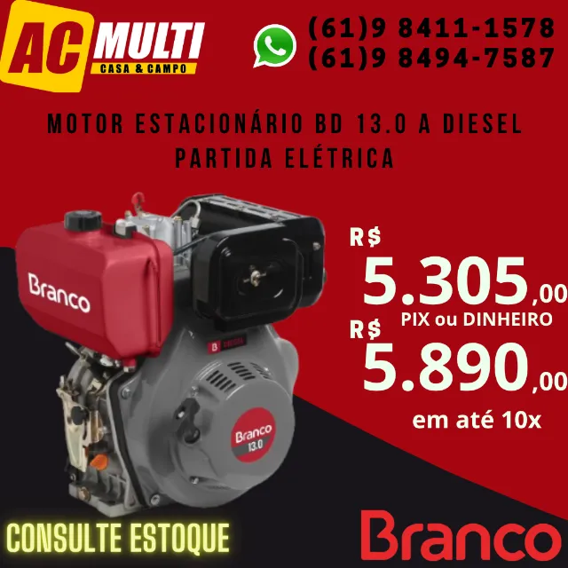 MOTOR ESTACIONÁRIO BD 13.0 H Partida Elétrica a DIESEL