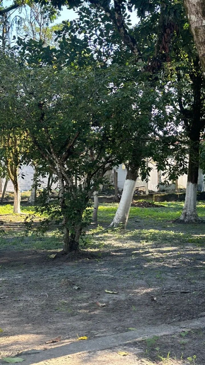 Chacara 2000 mil metros para temporada fins de semana e feriados  - Foto 7