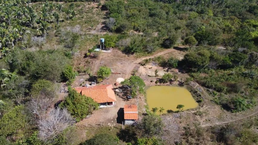 Fazenda zona rural  
