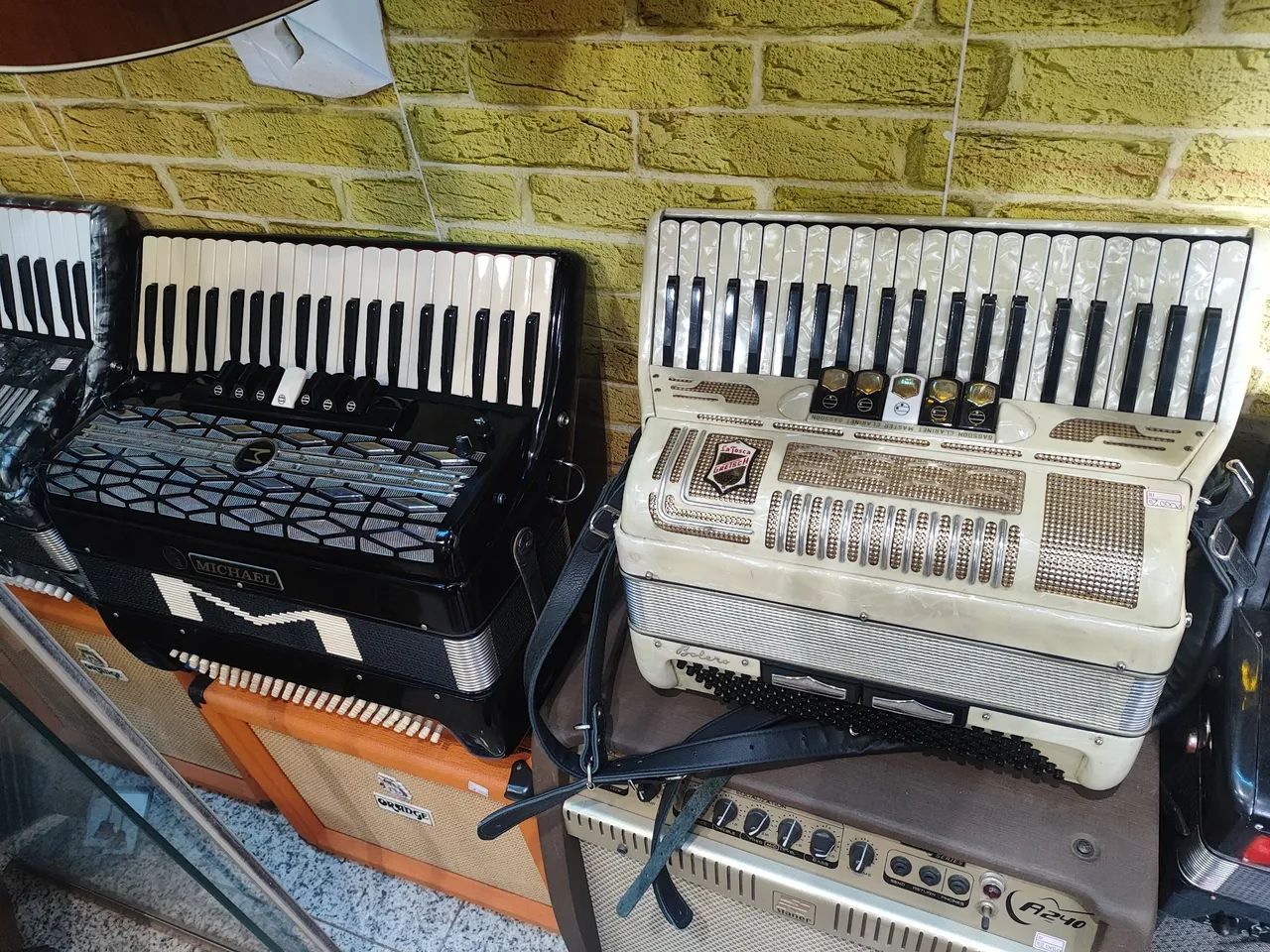 Acordeon michael - Foto 4