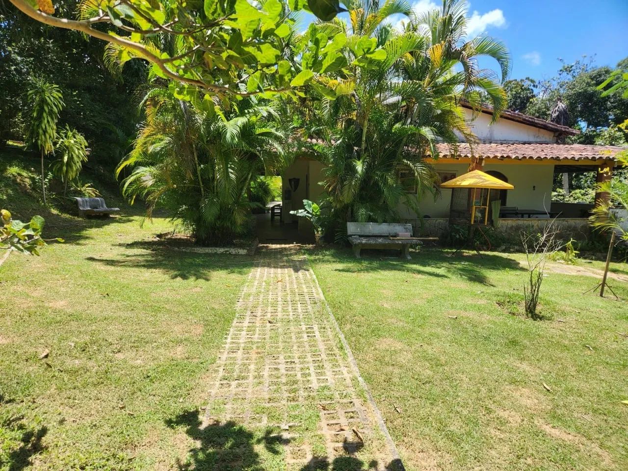 Sítio em Abrantes  - Foto 5
