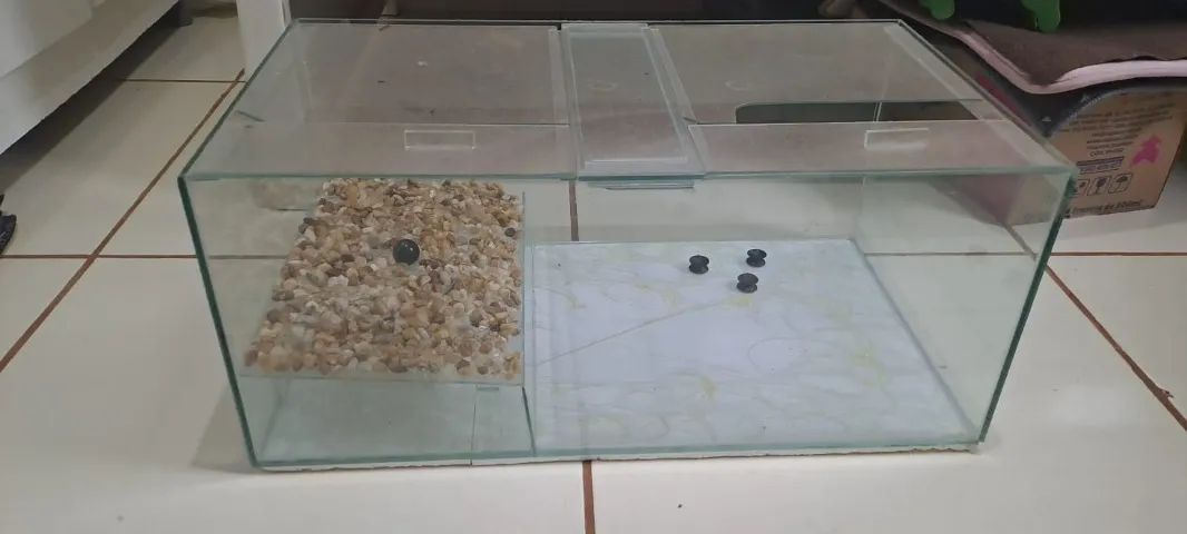 Terrário 