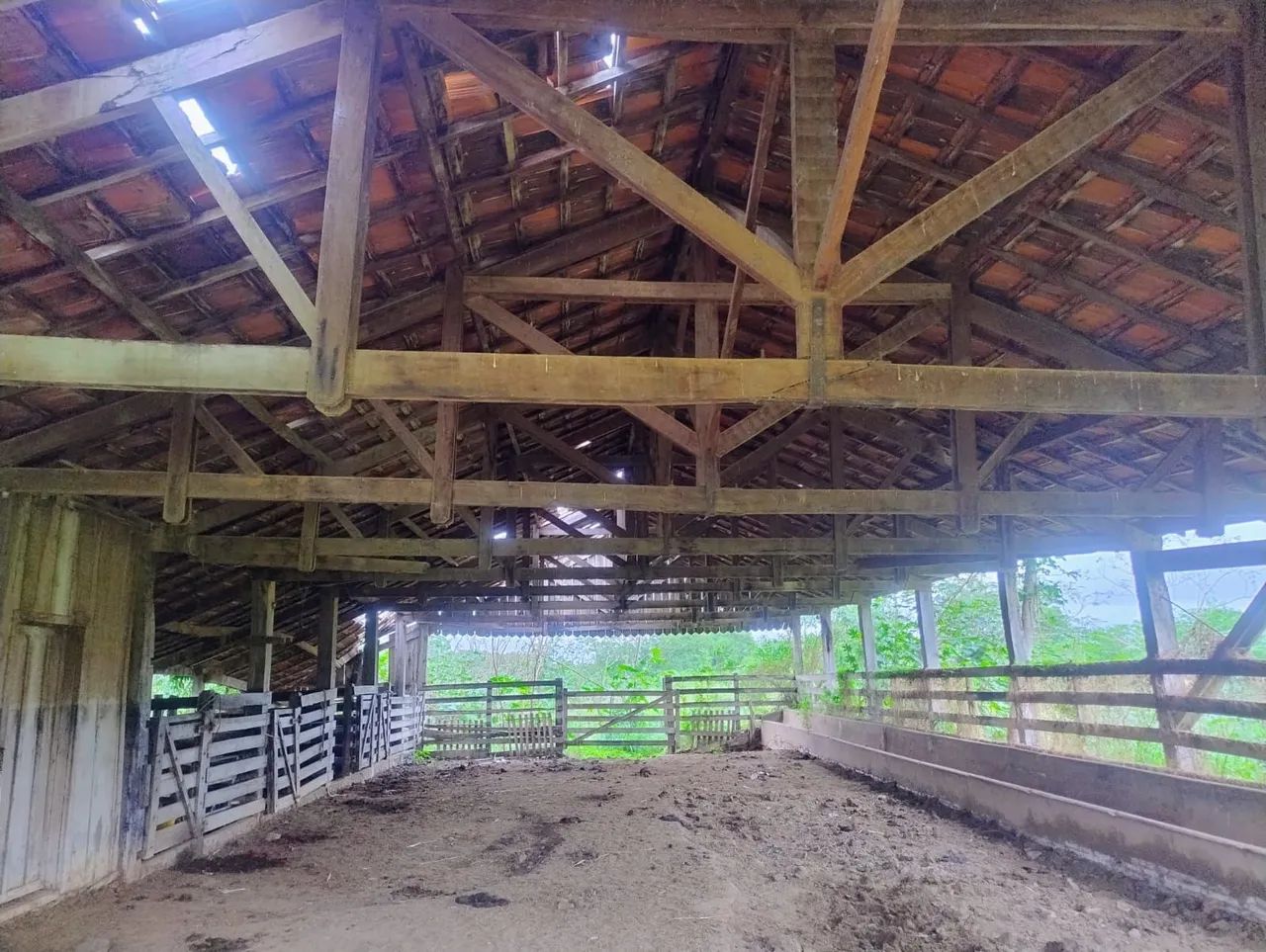 Vende ,um  barracão, uma casa e um tronco para pecuária . Oportunidade .  - Foto 5