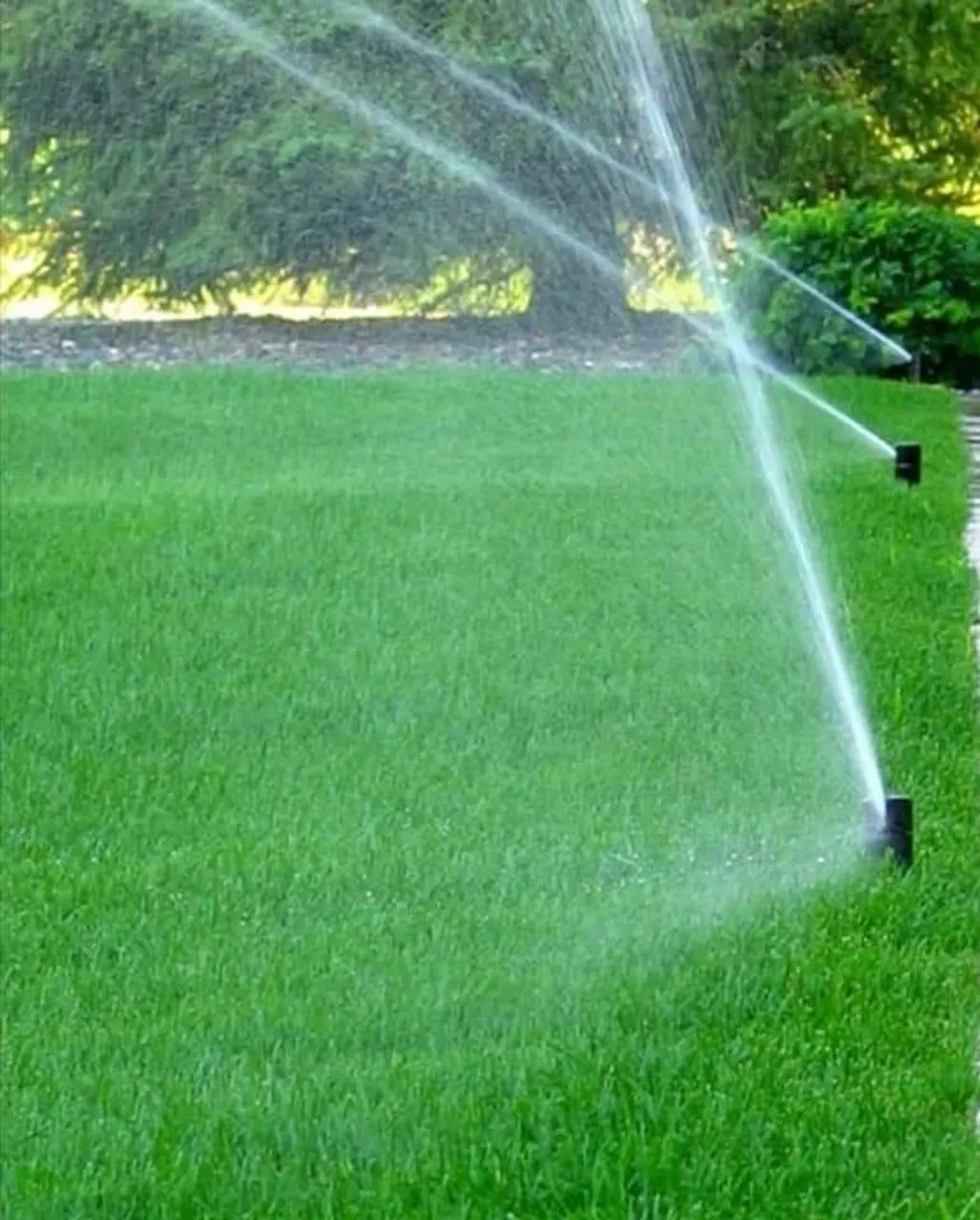 Irrigação automática para jardins - Foto 2