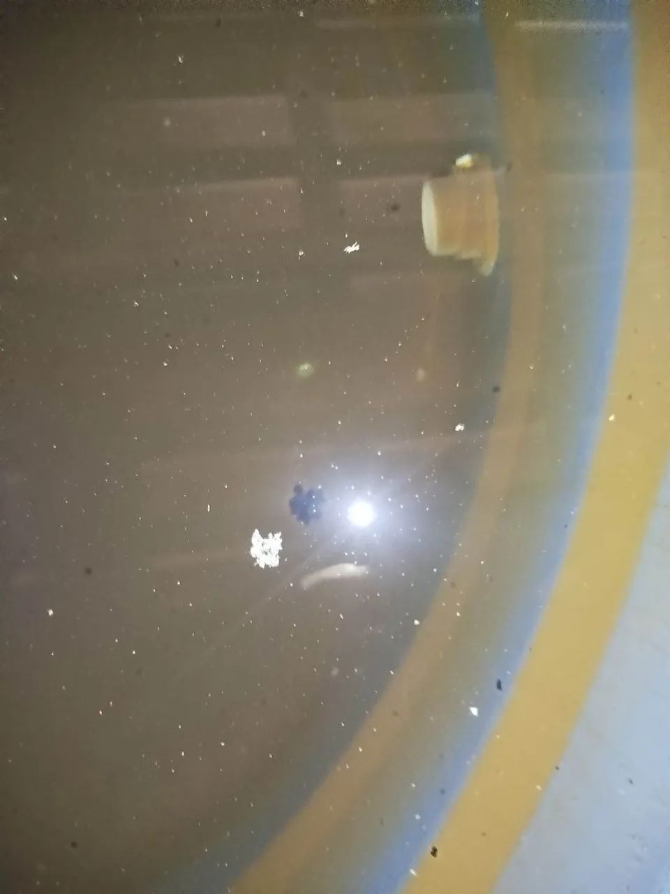 Limpeza de painéis solares / Desentupidora  - Foto 5