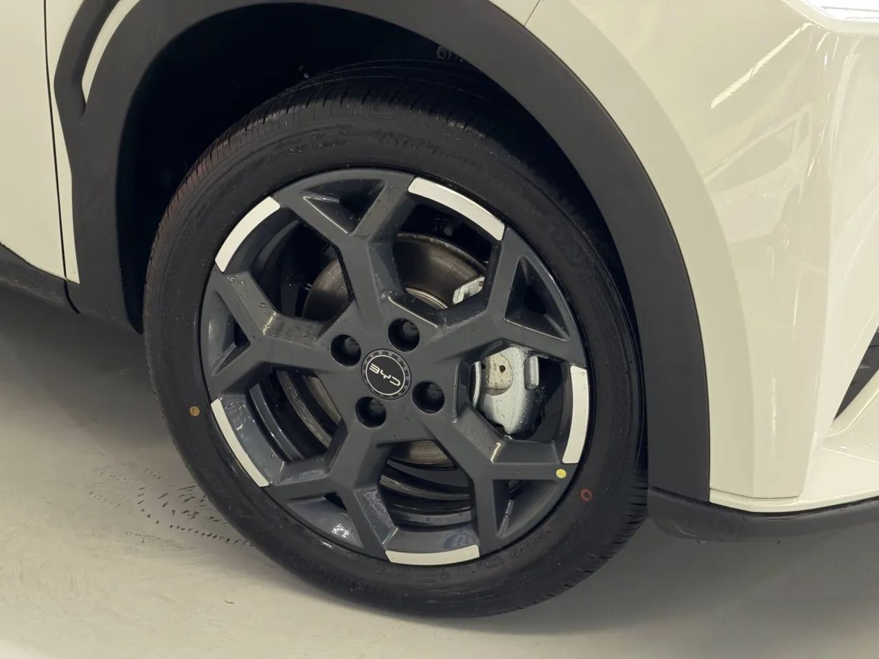 BYD Dolphin Mini (Elétrico) 2027 - Foto 4
