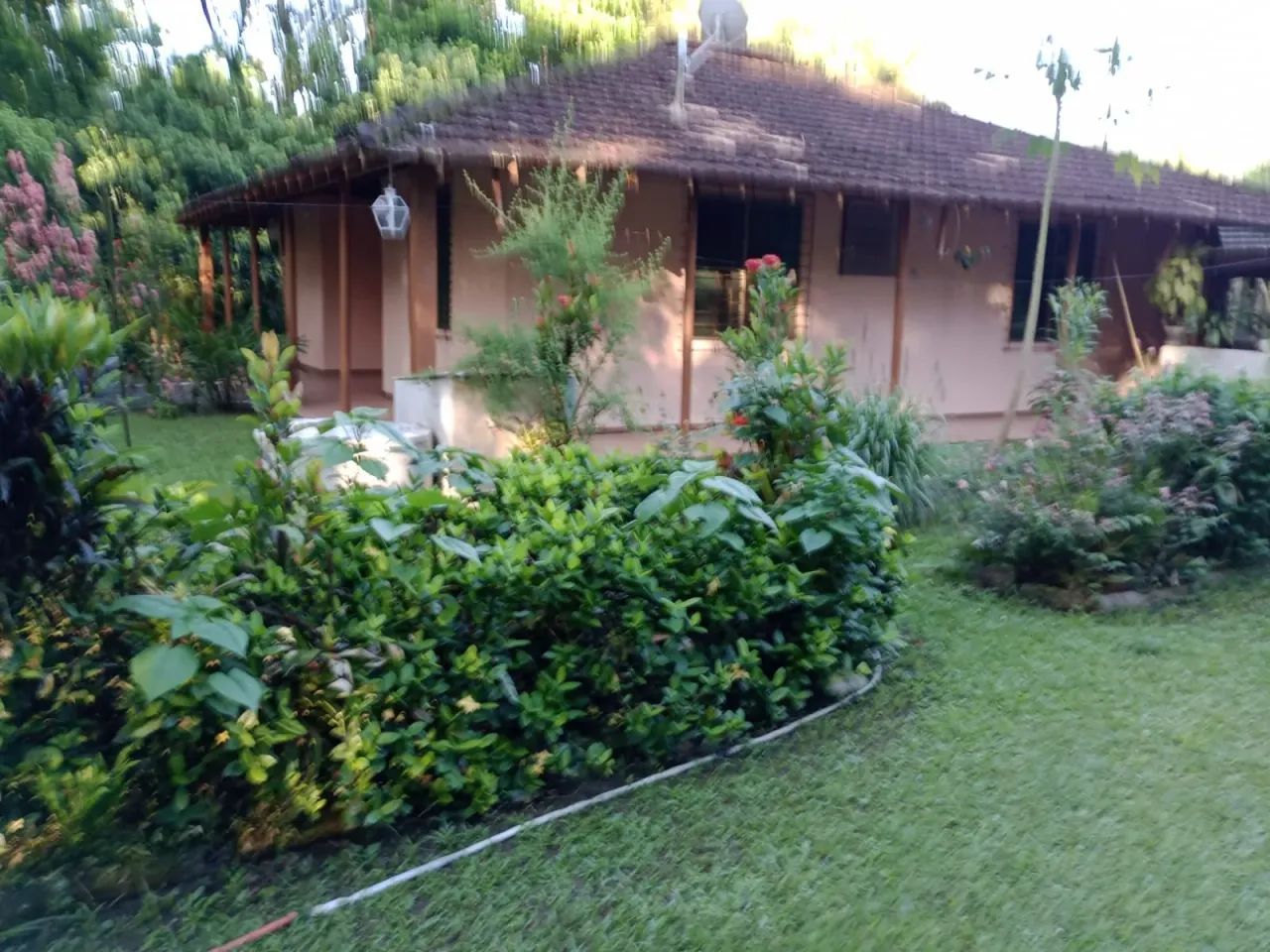 Mini Sitio - 15.000,00 m² - Foto 5