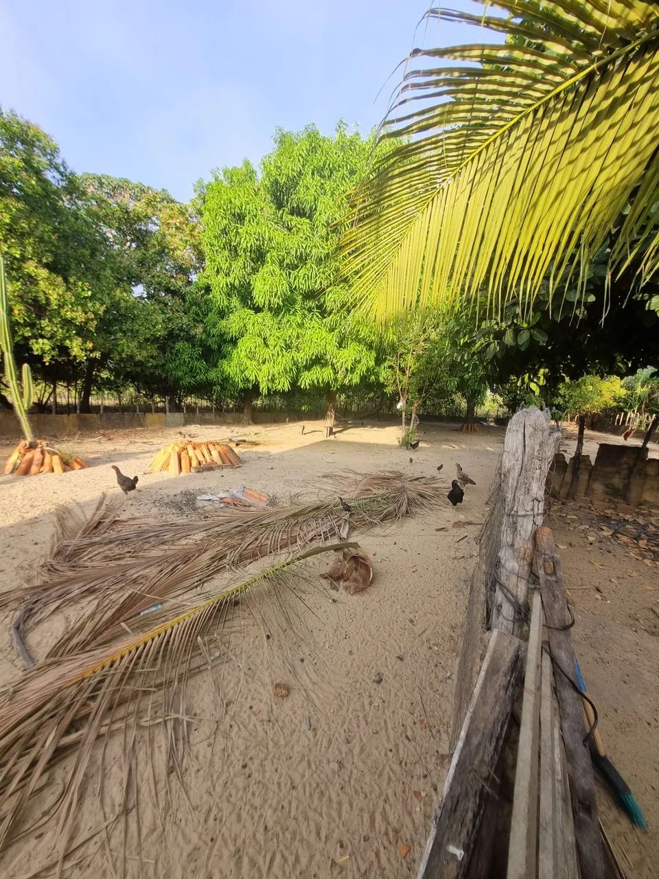 Casa no povoado Morada Nova  - Foto 4