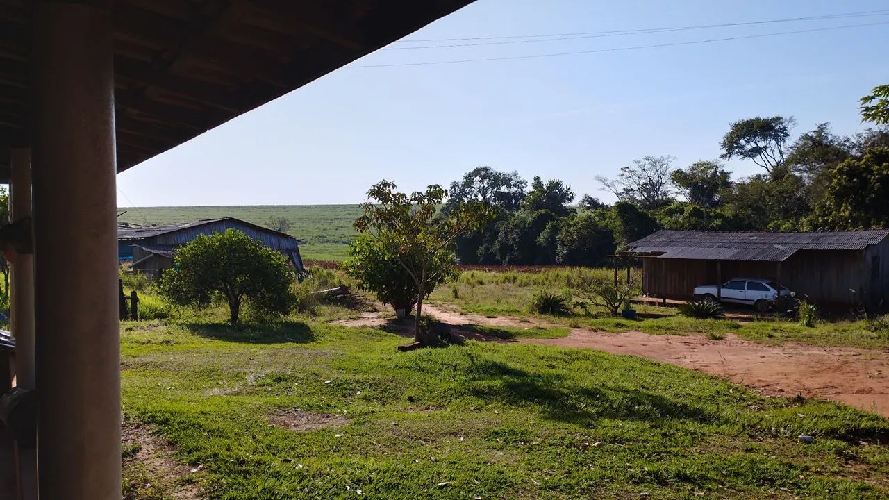 Vende-se sítio em Centenário do Sul - Foto 3