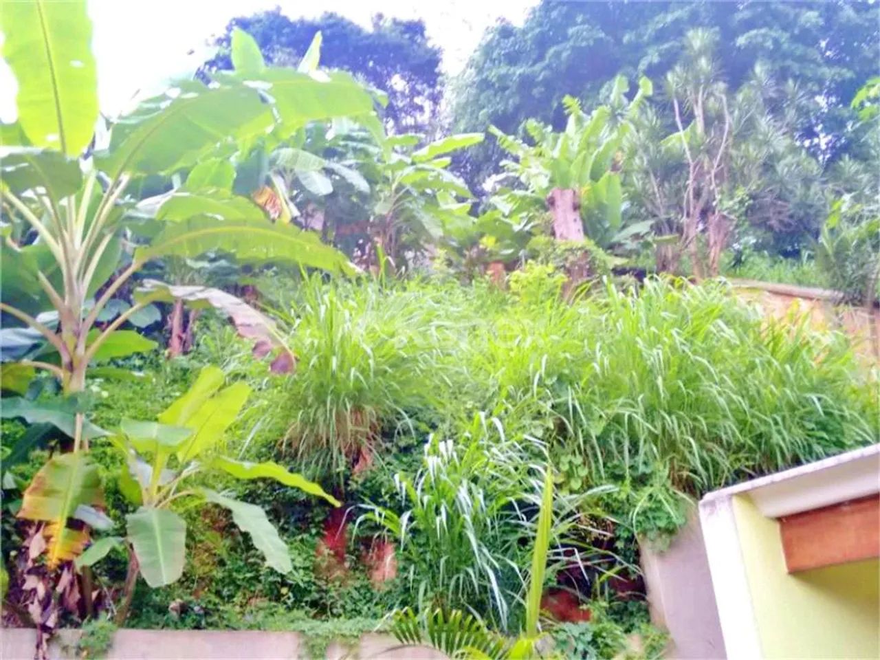 Casa no Mandaqui - Foto 5
