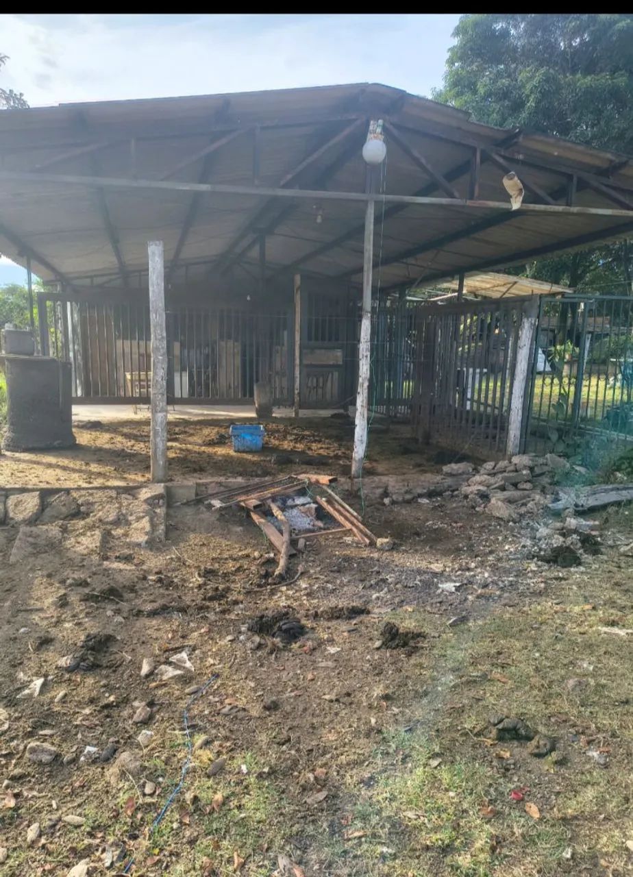 Oportunidade! Vendo linda chacra de 8 hectares - Foto 3